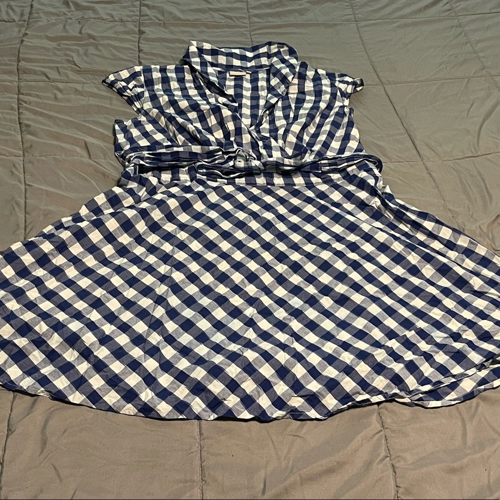 Size 24W/ 3X Blue & White eShakti Gingham Checkered Dress